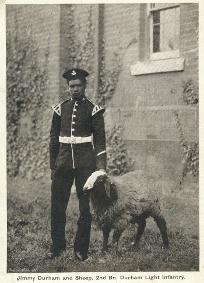 Photograph of James Durham with sheep [1900-1910] (D/DLI 7/194/8) - Copyright © Durham County Record Office.